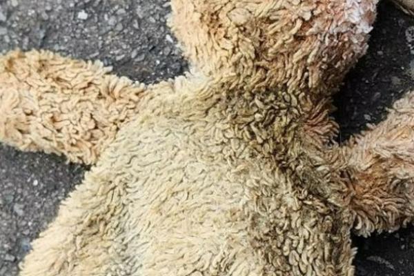 Procédure contre une micro-crèche accusée à tort de maltraitances à l’égard des enfants