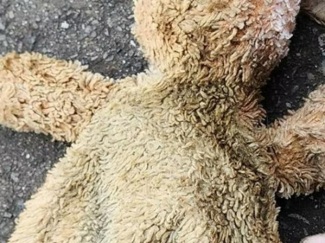 Procédure contre une micro-crèche accusée à tort de maltraitances à l’égard des enfants
