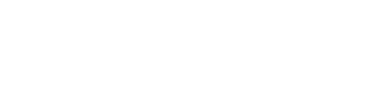 BFM